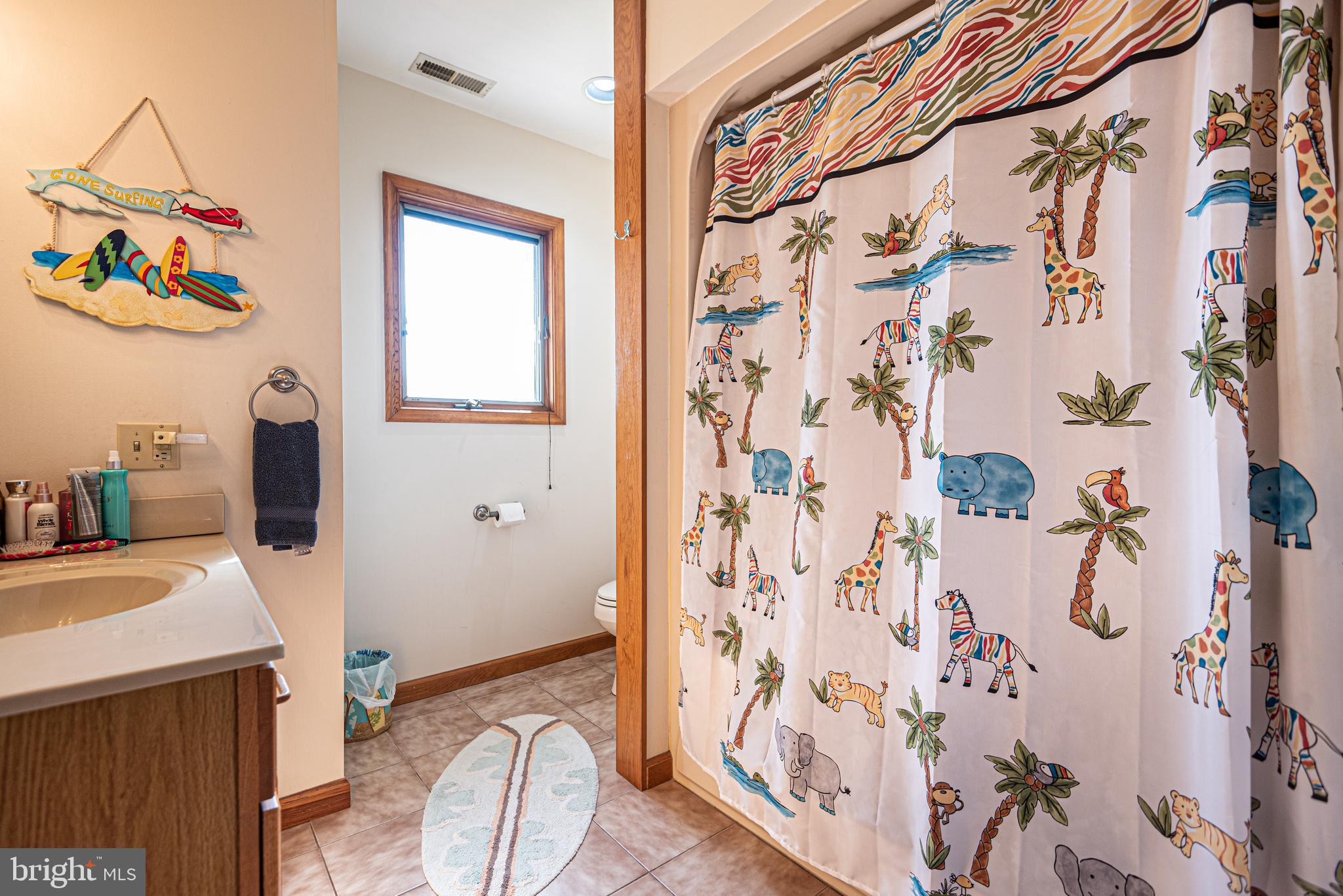 10730 Cathell Road Berlin, MD 21811 - Photo 59 of 80 Gallery Image 59