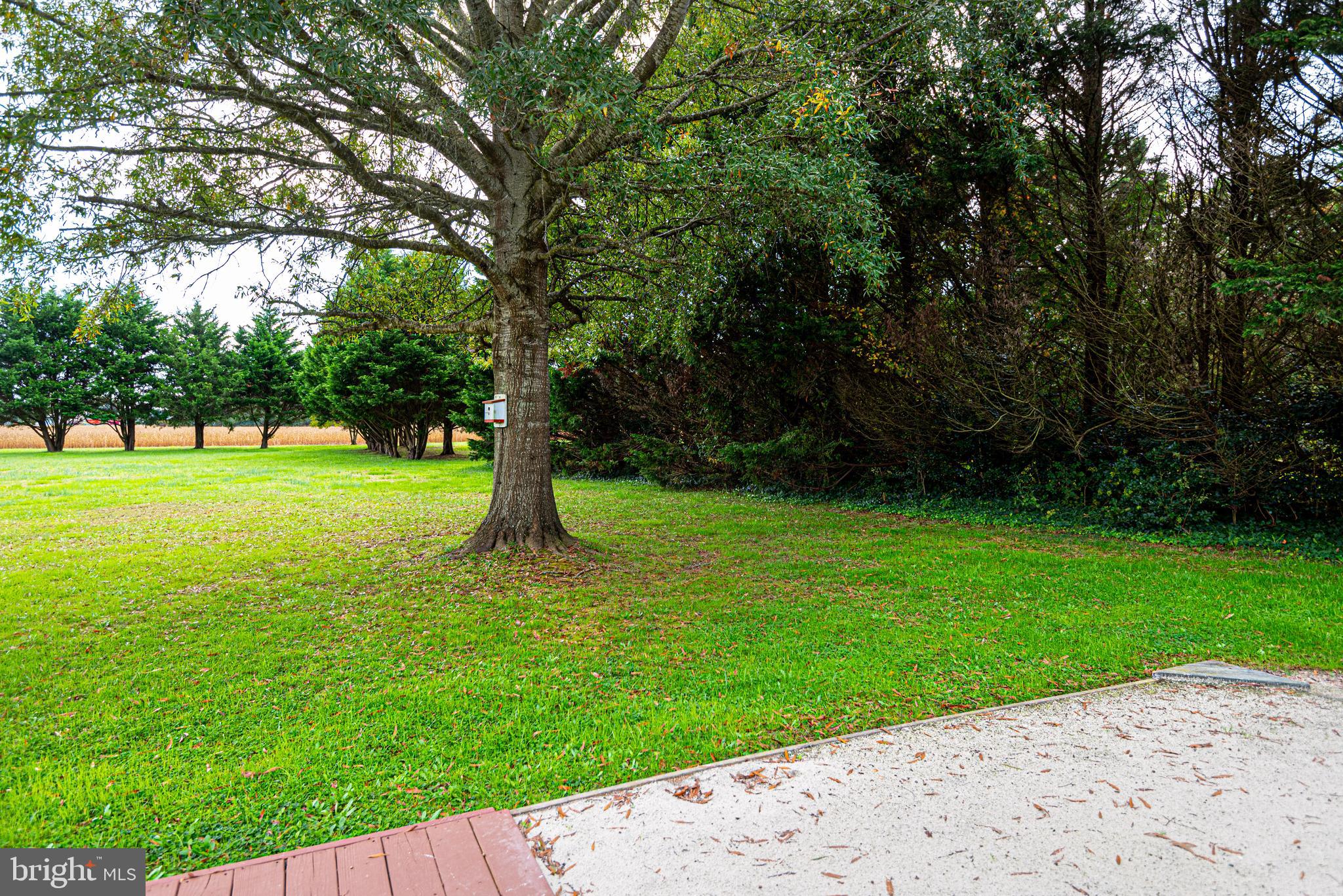 10730 Cathell Road Berlin, MD 21811 - Photo 72 of 80 Gallery Image 72