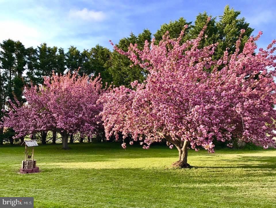 10730 Cathell Road Berlin, MD 21811 - Photo 77 of 80 Gallery Image 77