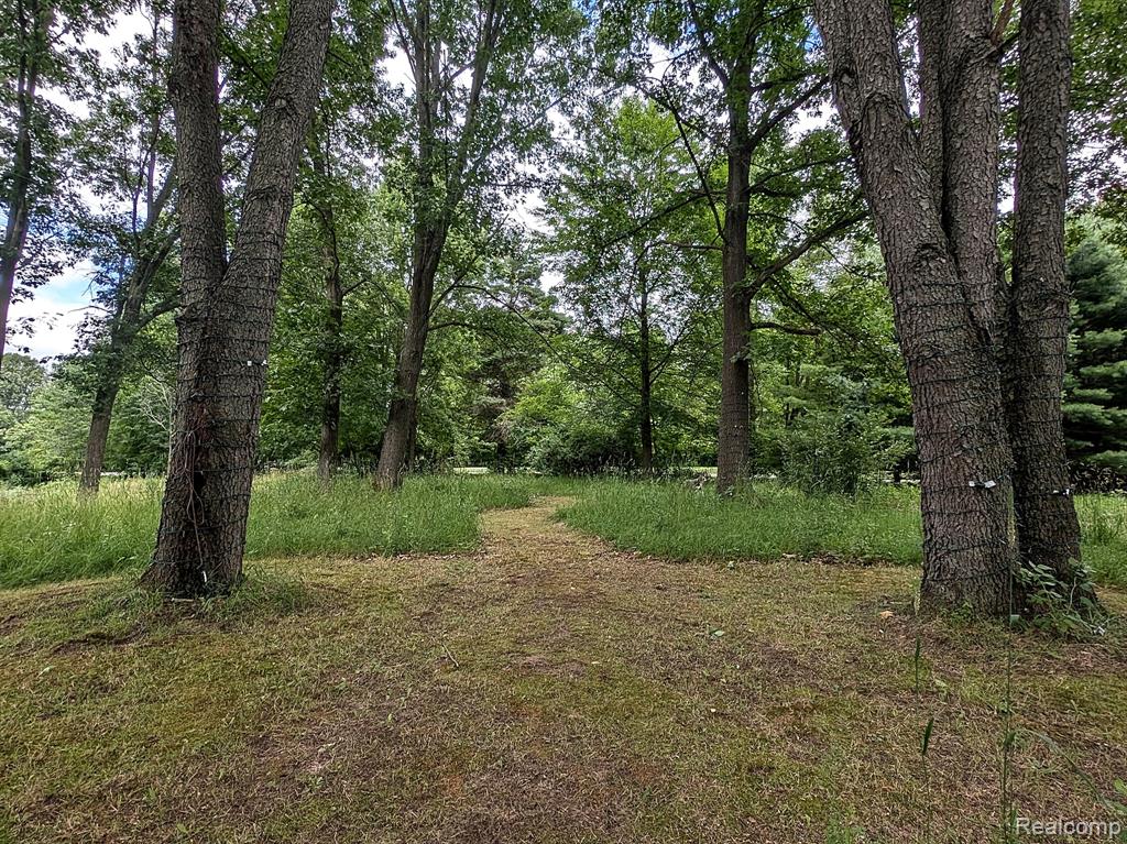 7700 Chamberlin Road Dexter, MI 48130 - Photo 52 of 57