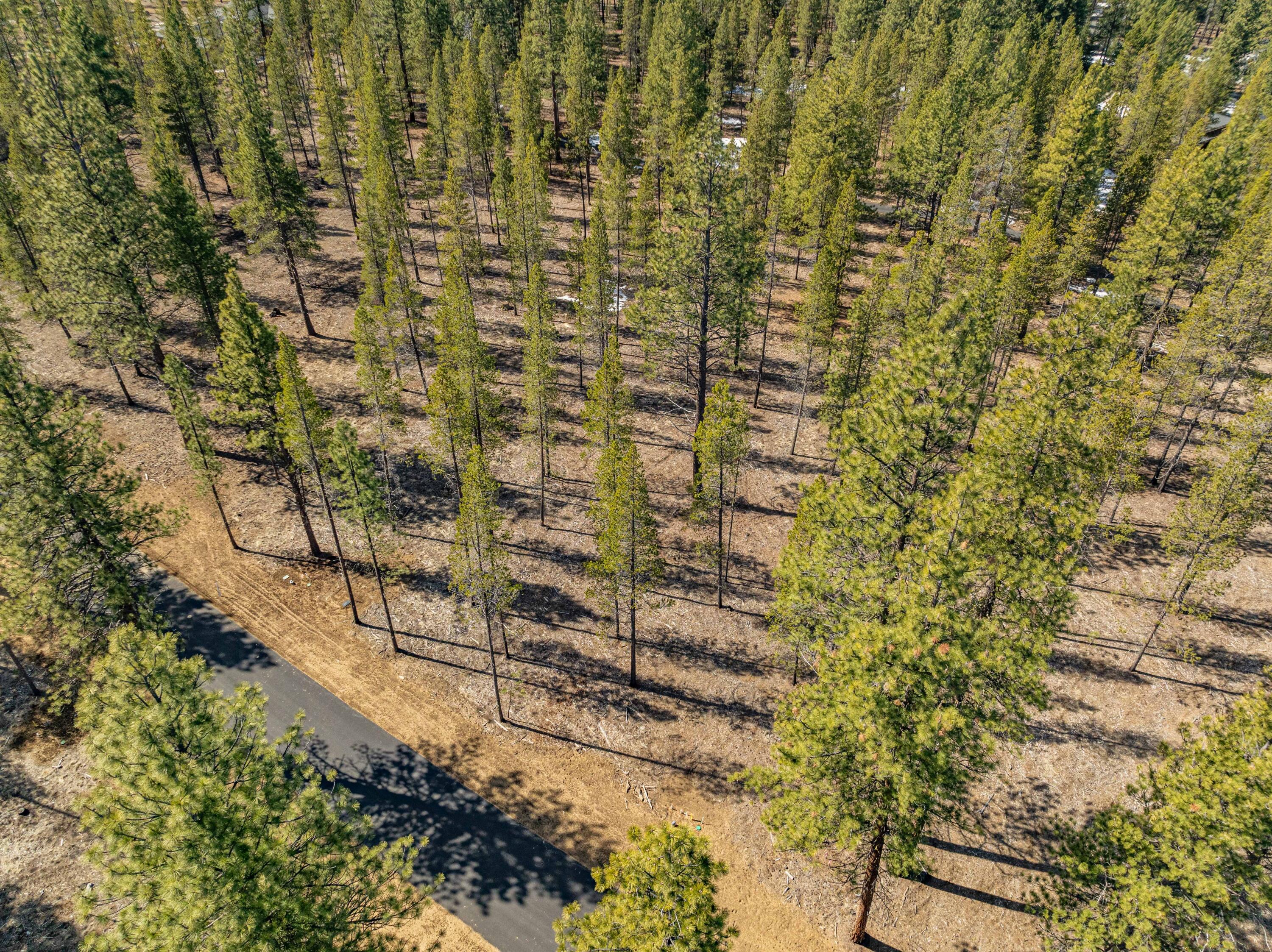 Preservation Loop Bend, Unit 462 Bend, OR 97707 - Photo 9 of 21 DJI_0731-HDR