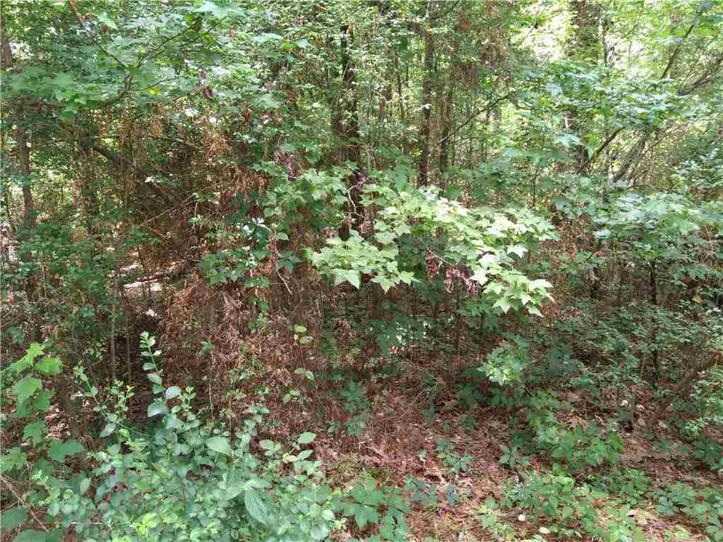943 Racetrack Road Bentley, LA 71407 - Photo 8 of 8 Gallery Image 8