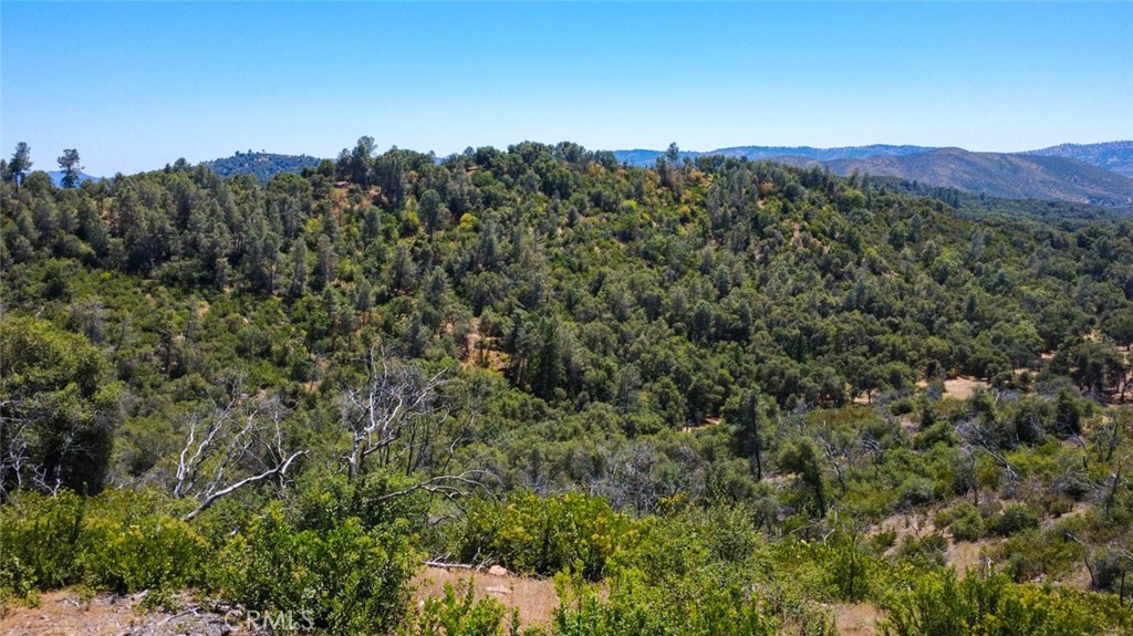0 Bumguardner Mountain Road Mariposa, CA 95338 - Photo 24 of 36