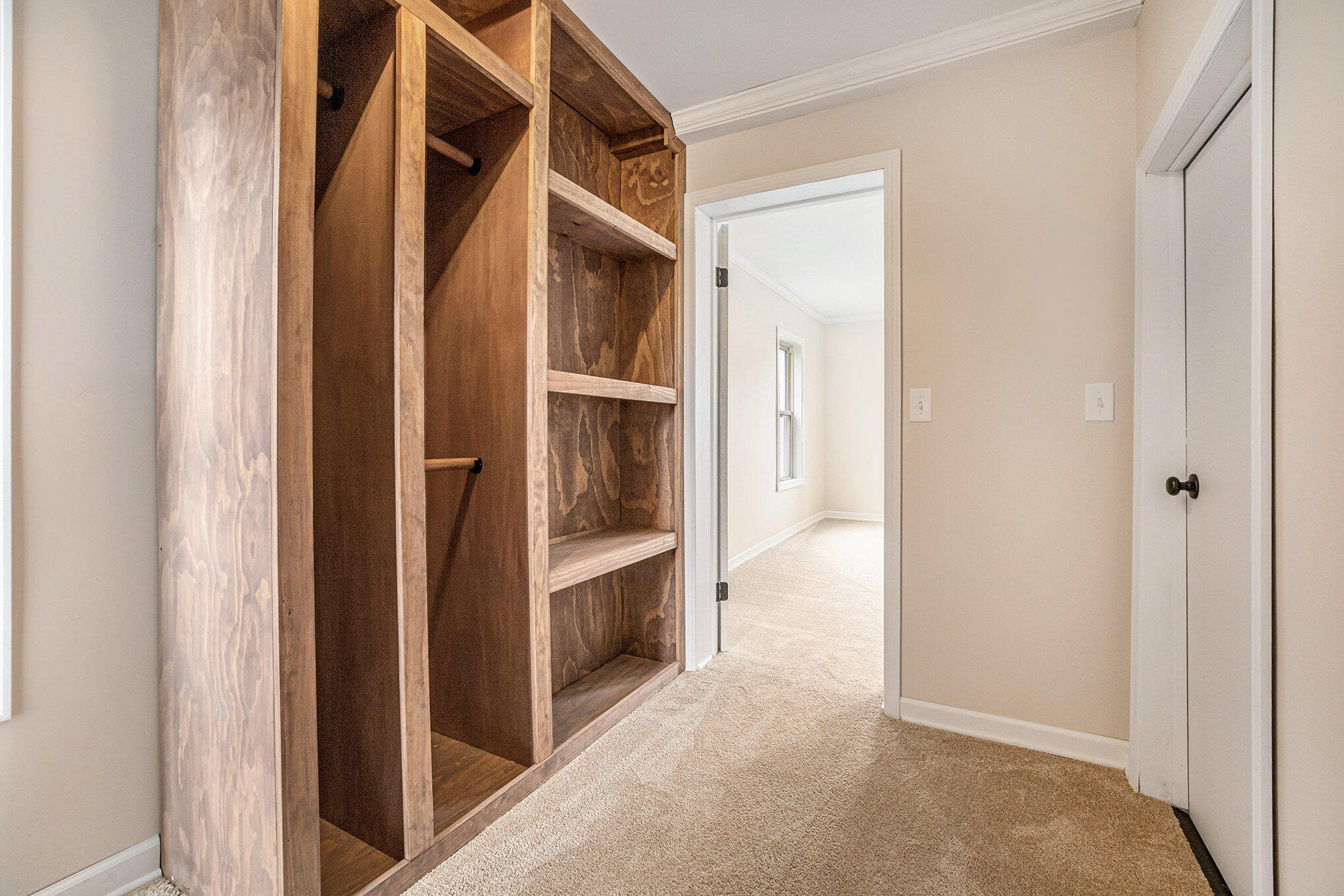 1531 West Stanton Road Stanton, MI 48888 - Photo 19 of 31 Primary walk in closet