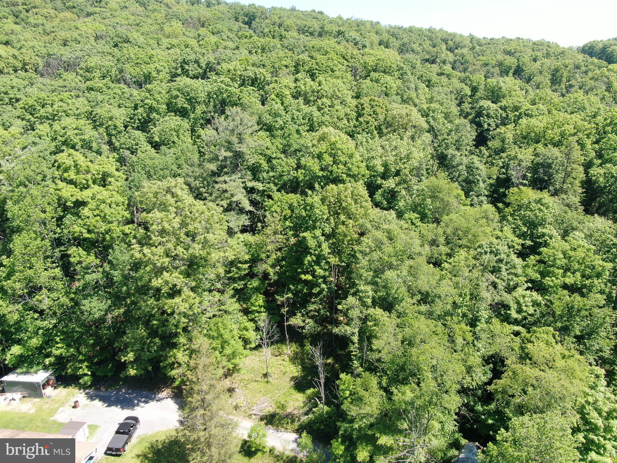 944 Decker Hollow Road Tyrone, PA 16686 - Photo 5 of 82