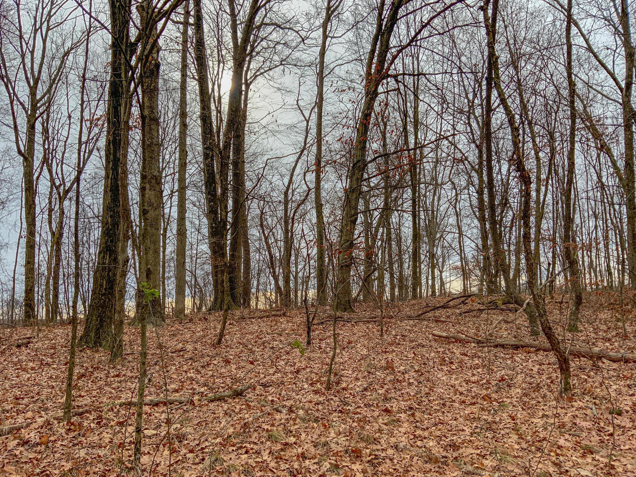 0 Cream Ridge Road Lisbon, OH 44432 - Photo 25 of 49 IMG_4809