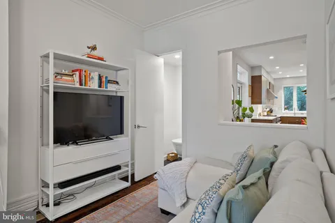 a living room with a couch and a potted plant