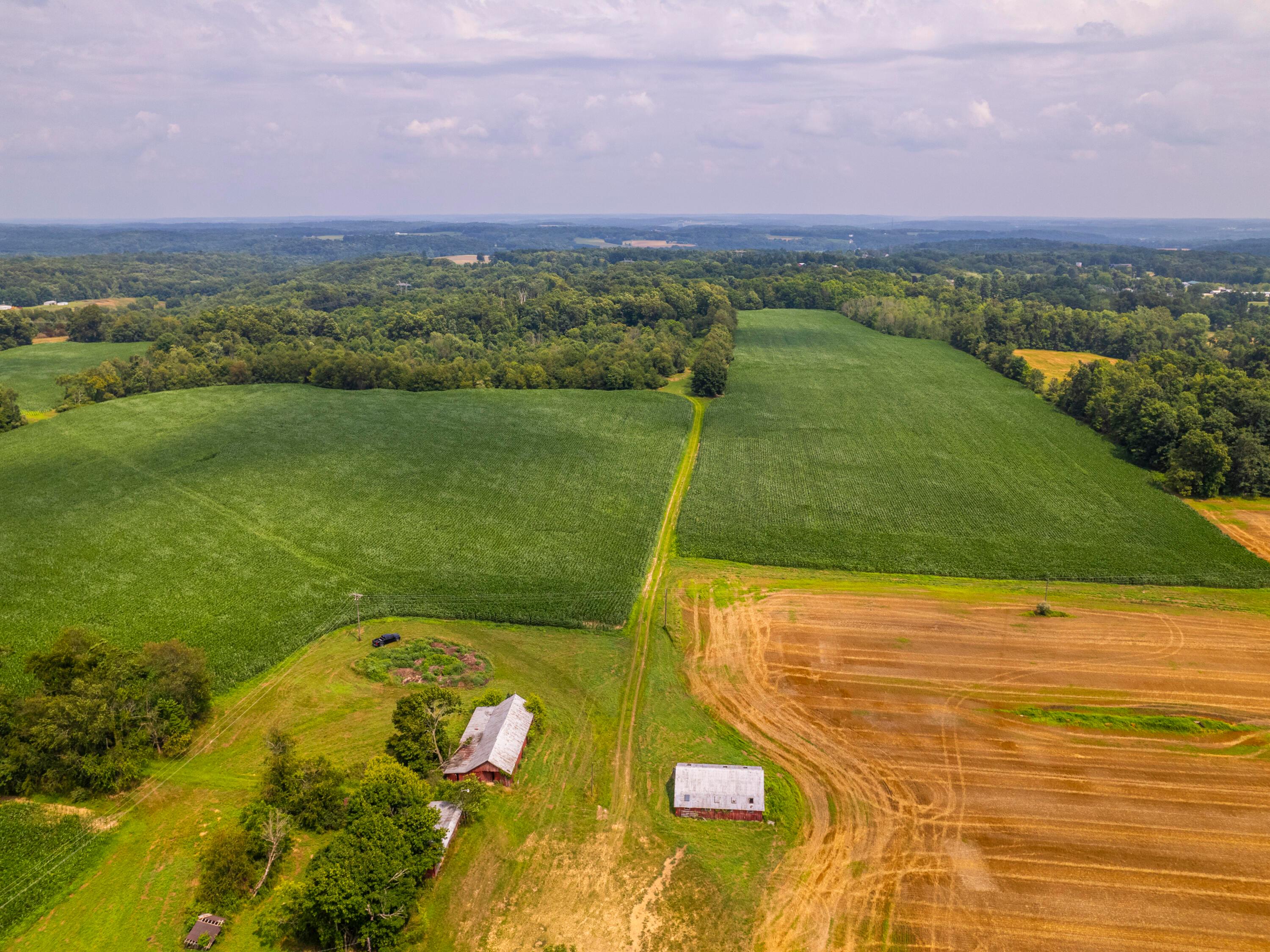 12600 Gilchrist Road Mount Vernon, OH 43050 - Photo 3 of 64 perkins-PRINT_1