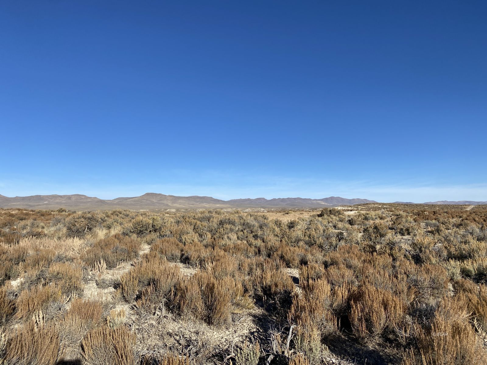 S17 T37n R57e Elko, NV 89801 - Photo 1 of 5