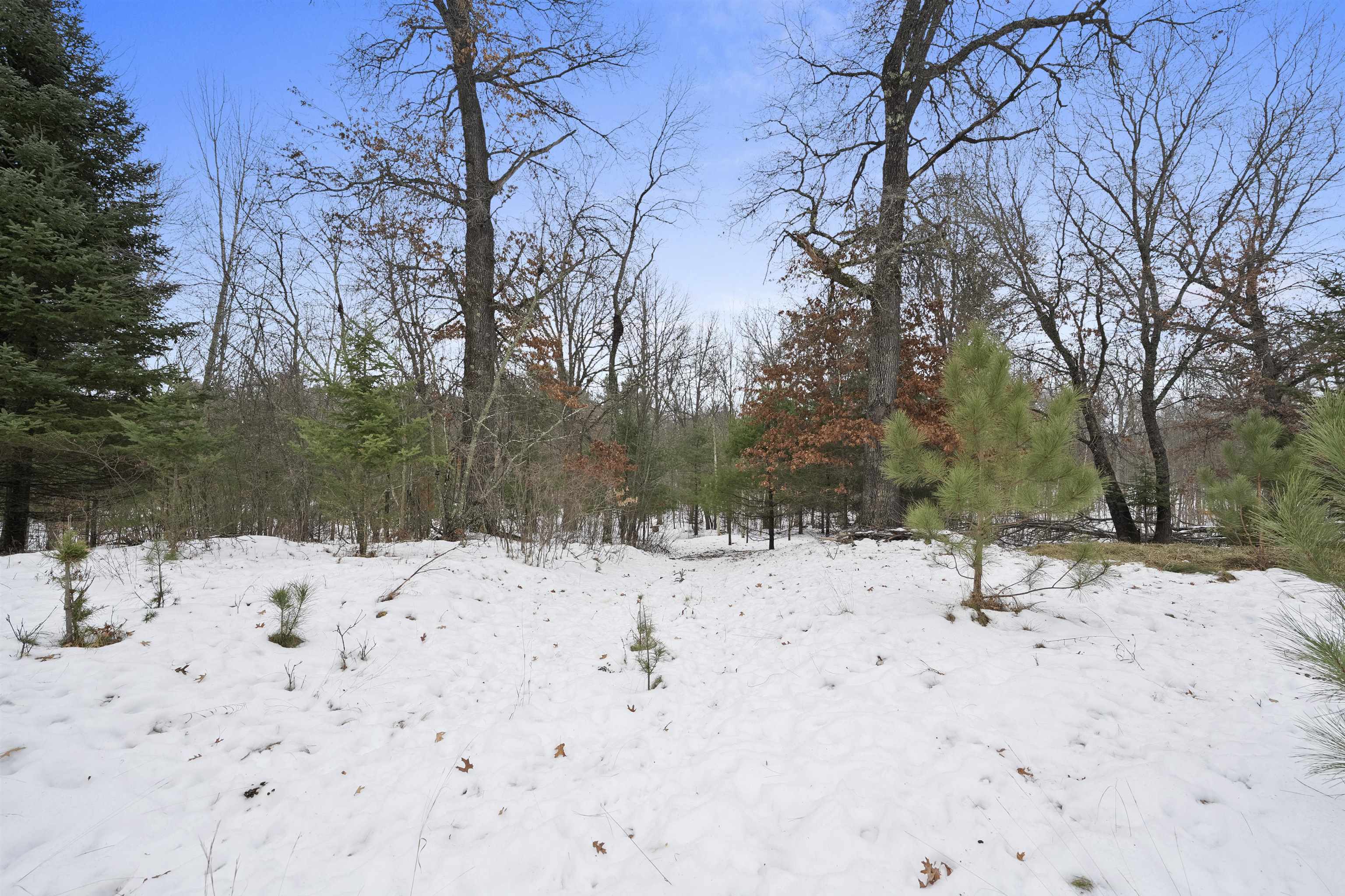 N12802 Pike River Road Wausaukee, WI 54177 - Photo 23 of 41