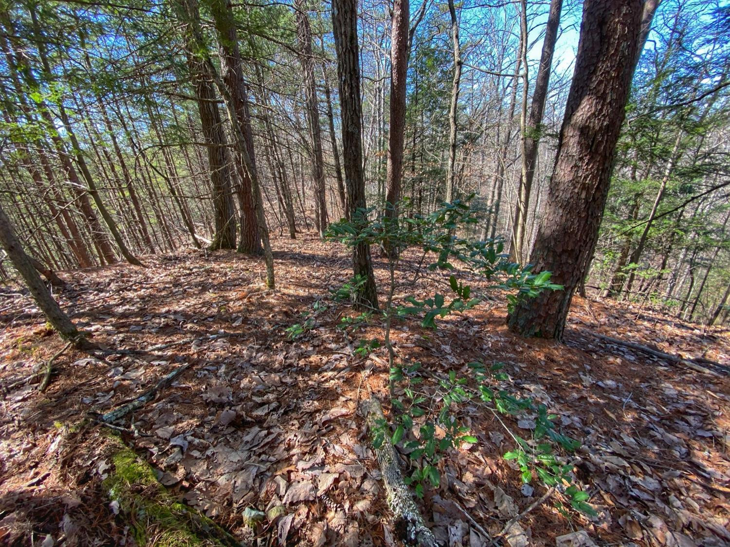 1 Sandy Ridge Road Campton, KY 41301 - Photo 27 of 33 Photo 27