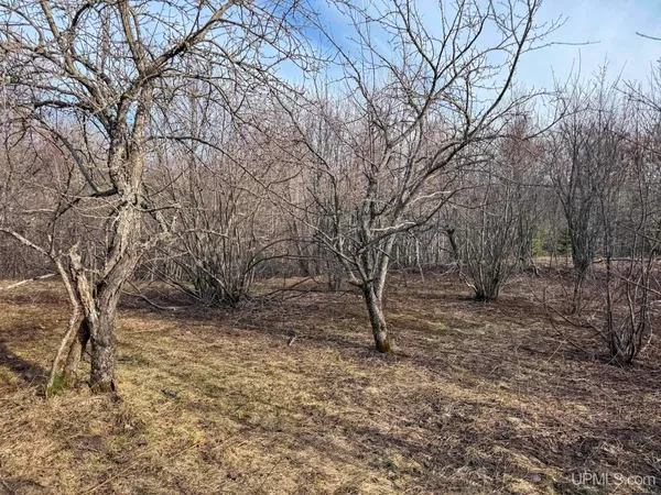 $50,000 | Lot D Mohawk Gay Road, Mohawk, MI 49950