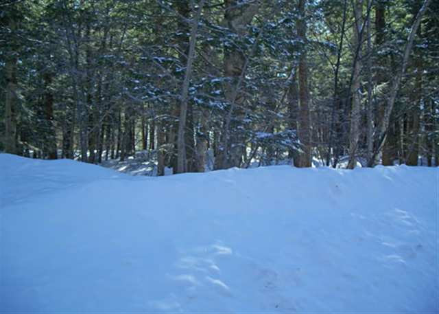 0 Channel Road Caroga Lake, NY 12032 - Photo 6 of 6 Photo 6