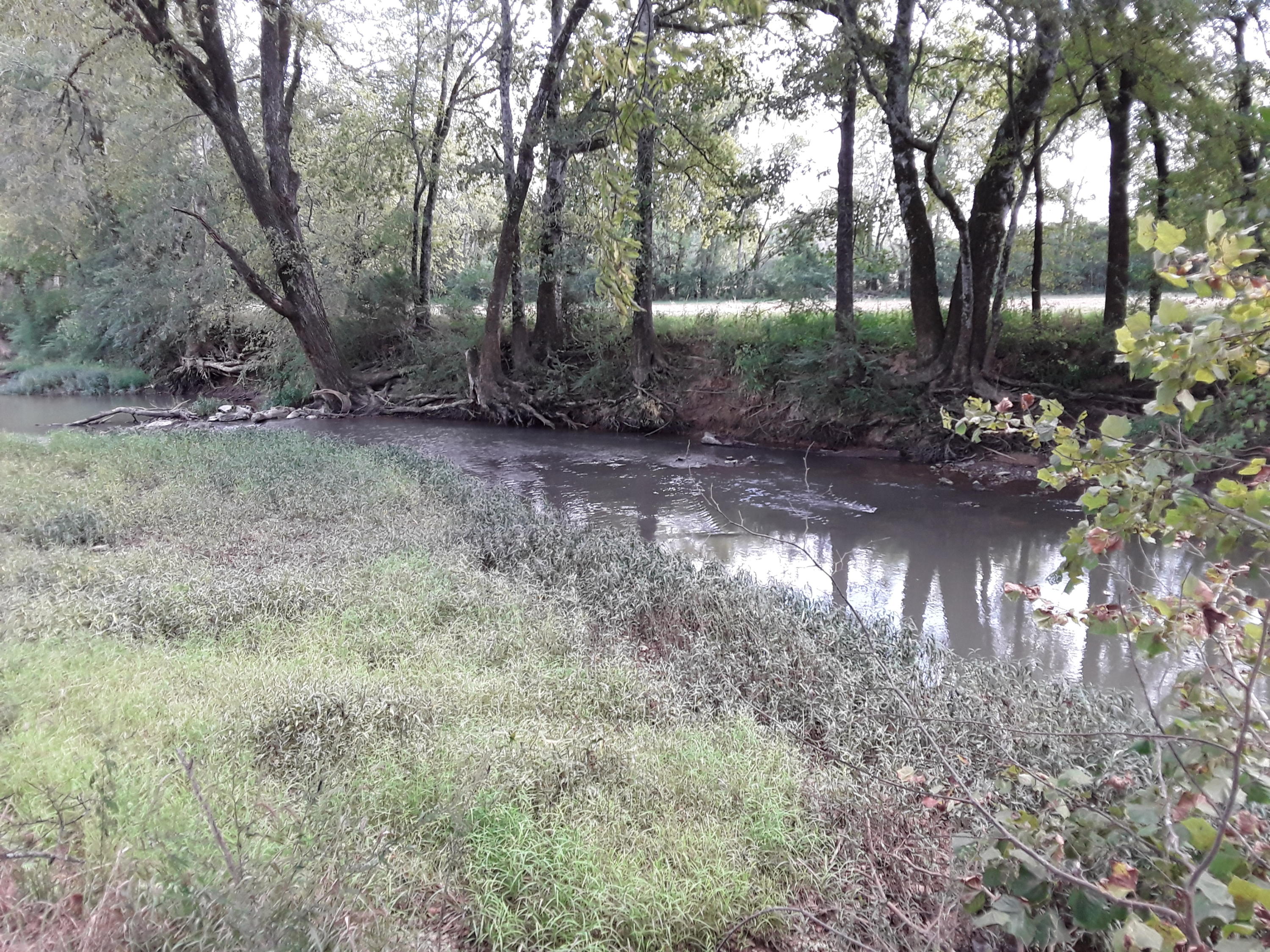 0 Hames Road Chickamauga, GA 30707 - Photo 11 of 15 20200920_163245