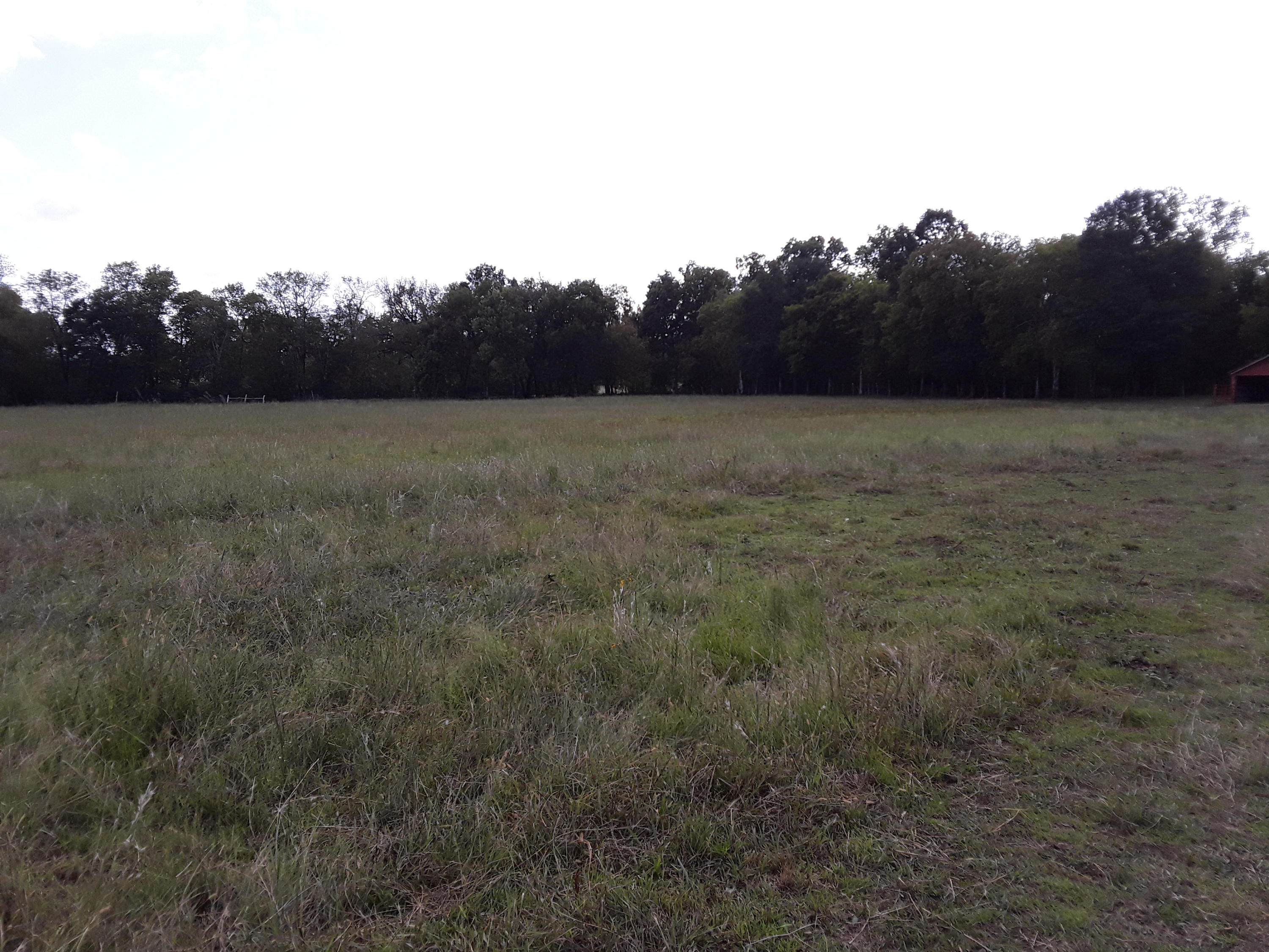 0 Hames Road Chickamauga, GA 30707 - Photo 13 of 15 20200920_162921