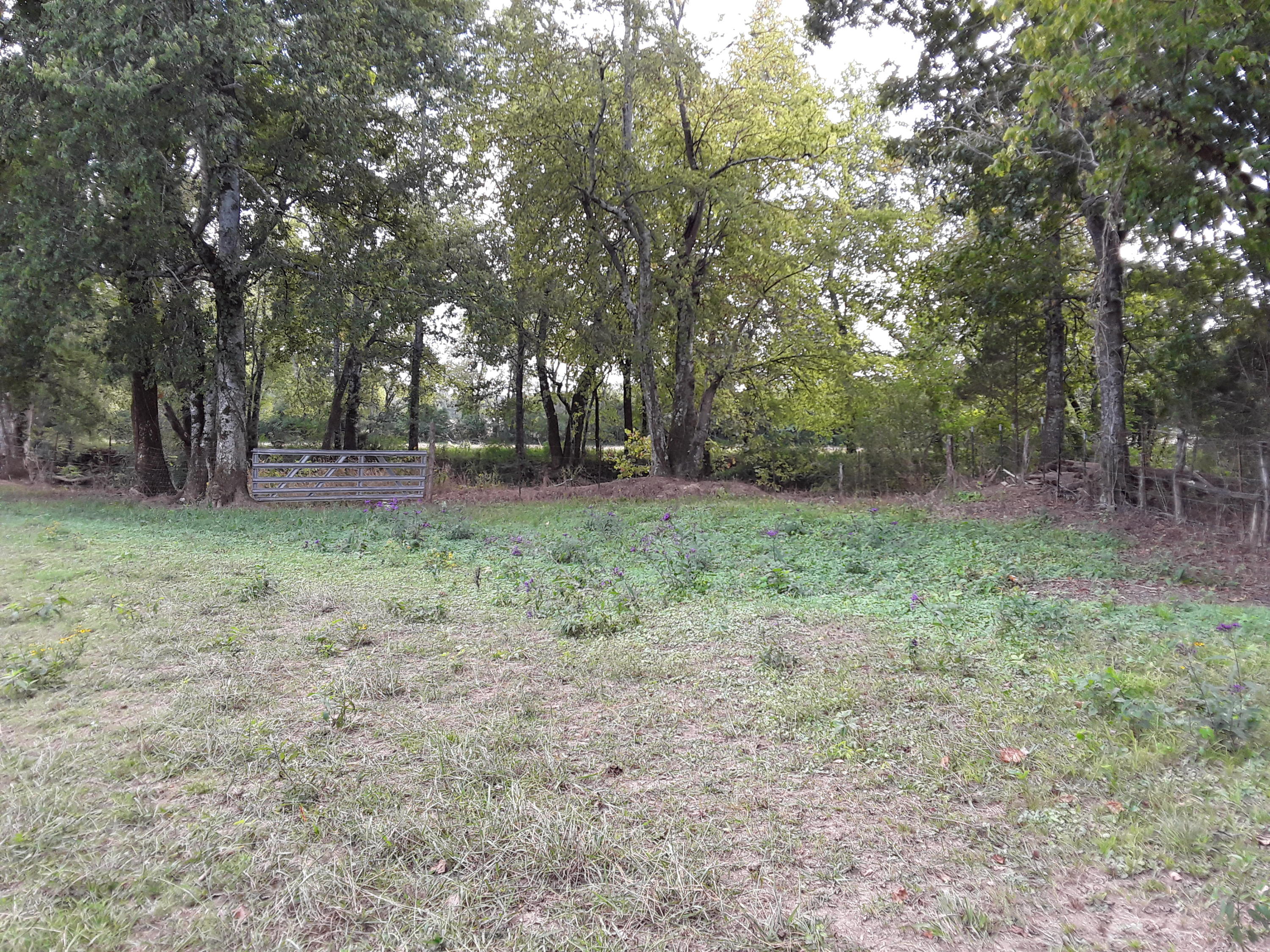 0 Hames Road Chickamauga, GA 30707 - Photo 14 of 15 20200920_163209