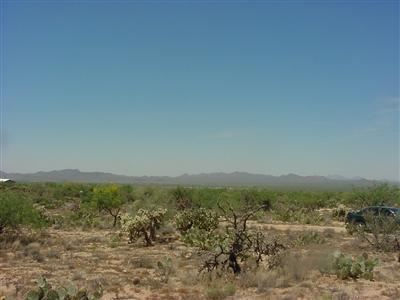 12855 Rustler Road Tucson, AZ 85736 - Photo 4 of 5 Gallery Image 4