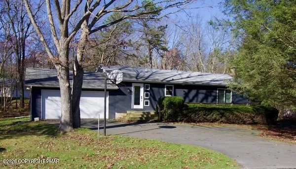a backyard of a house with plants and large tree