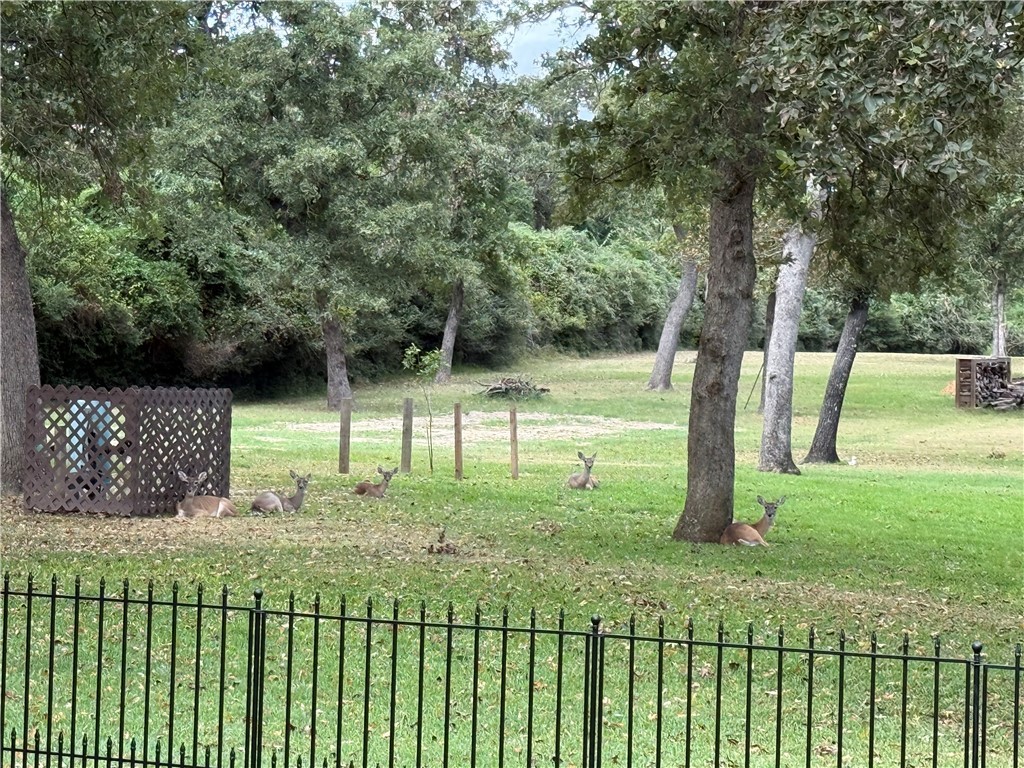 Tbd North Golfview Drive Normangee, TX 77871 - Photo 17 of 18 a view of a garden