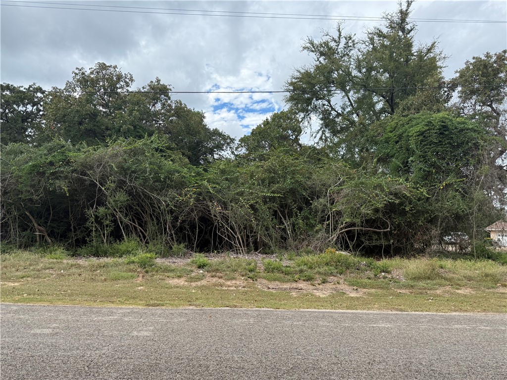 Tbd North Golfview Drive Normangee, TX 77871 - Photo 2 of 18