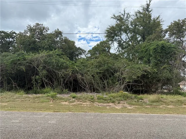 a view of a yard with a tree