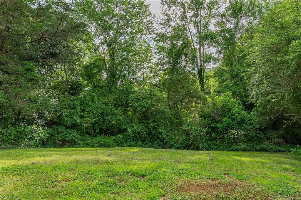 105 Locust Road King, NC 27021 - Photo 27 of 28