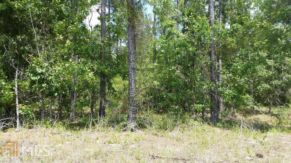 0 Nevils Groveland Road, Unit LOT 24 Pembroke, GA 31321 - Photo 1 of 1 Gallery Image 1