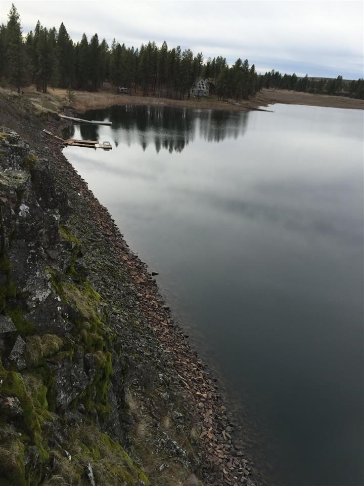 16736 West Williams Lake Road Cheney, WA 99004 - Photo 14 of 19