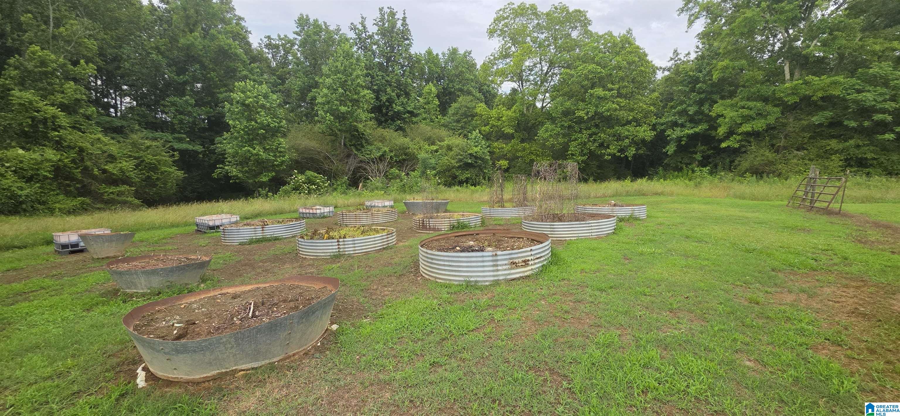 18341 Highway 46 Ranburne, AL 36273 - Photo 16 of 47