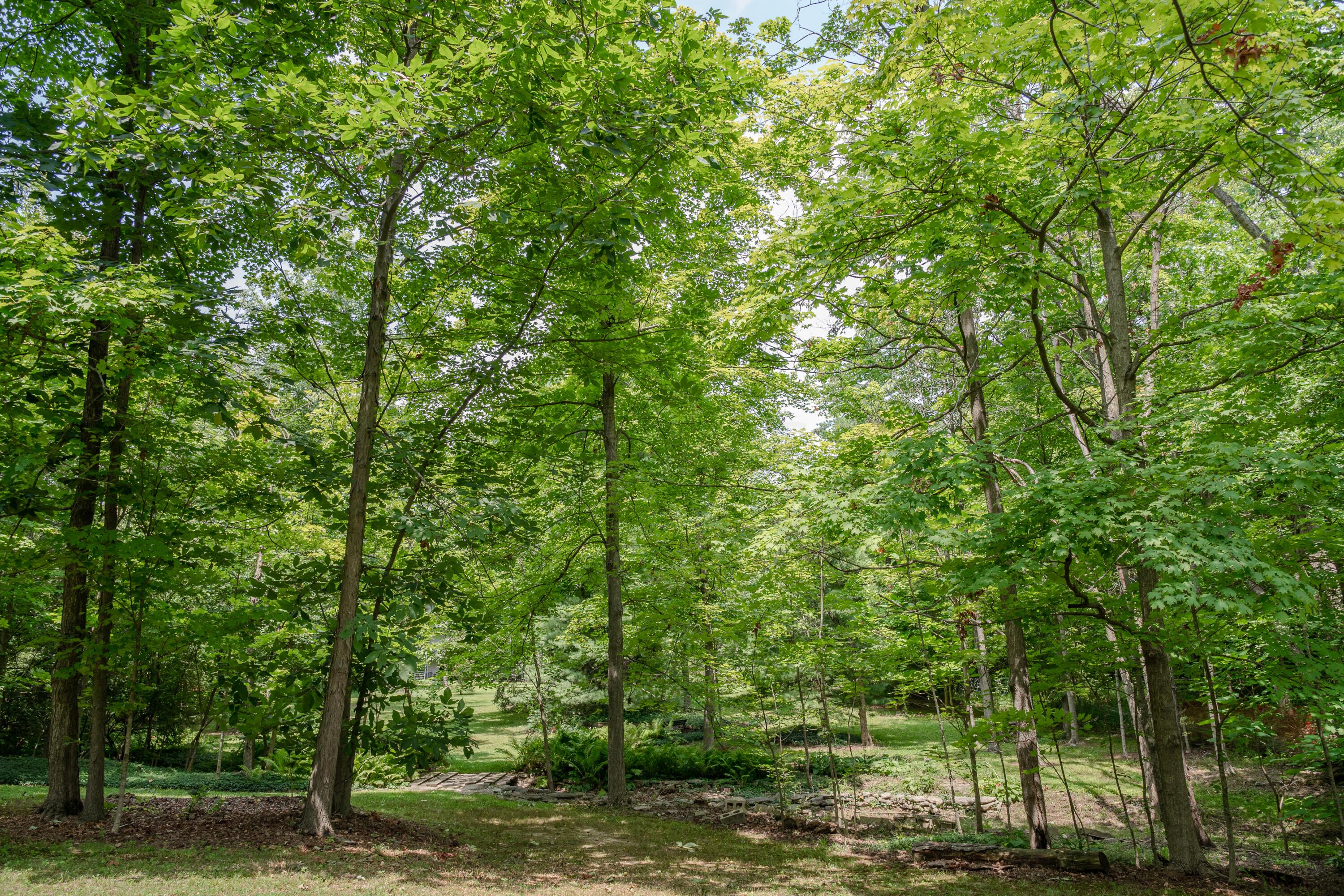 6440 Home Road Delaware, OH 43015 - Photo 40 of 57 Gallery Image 40