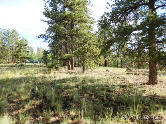 2101 Campfire Road Hartsel, CO 80449 - Photo 5 of 6 a view of yard covered with green space
