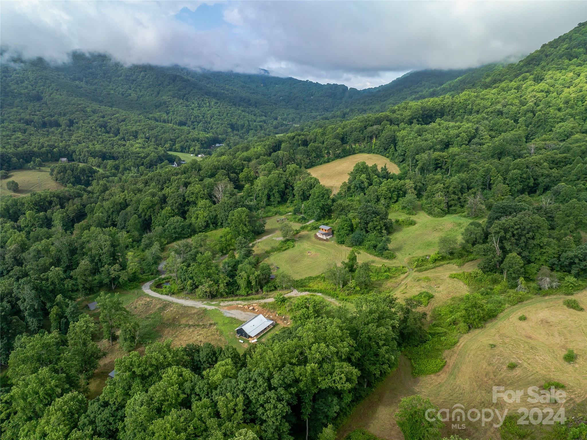 1397 Newfound Road Leicester, NC 28748 - Photo 18 of 48