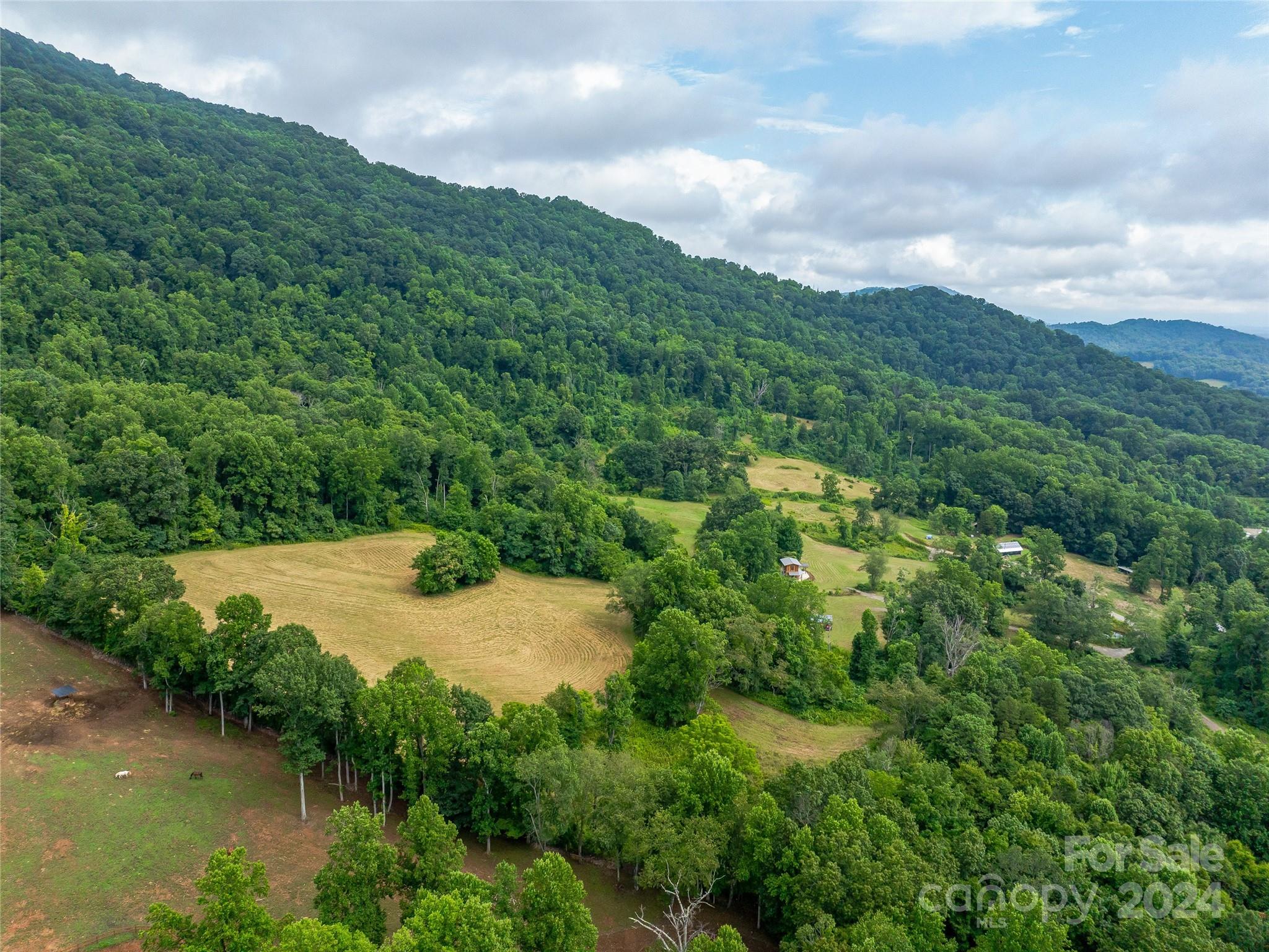 1397 Newfound Road Leicester, NC 28748 - Photo 28 of 48