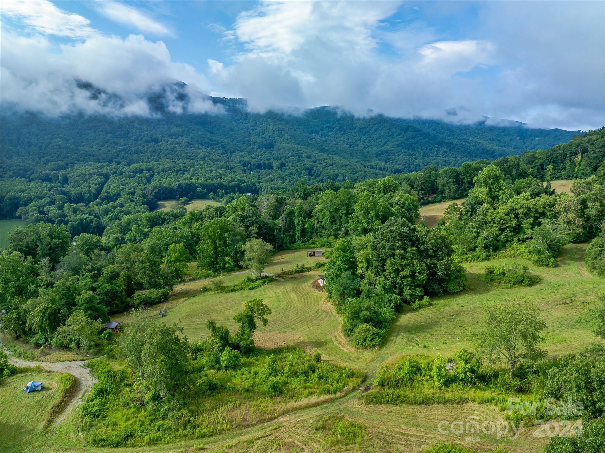 1397 Newfound Road Leicester, NC 28748 - Photo 31 of 48