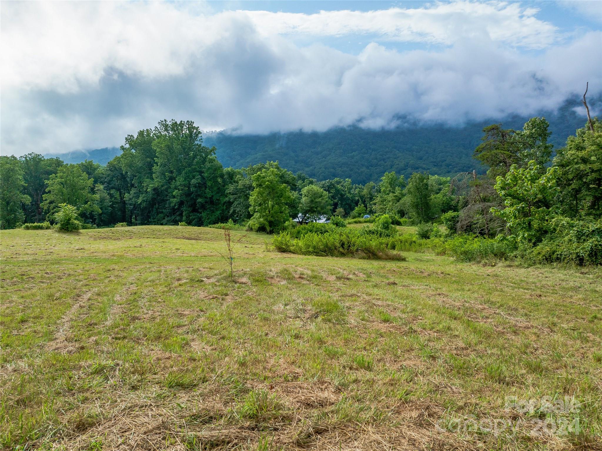 1397 Newfound Road Leicester, NC 28748 - Photo 32 of 48