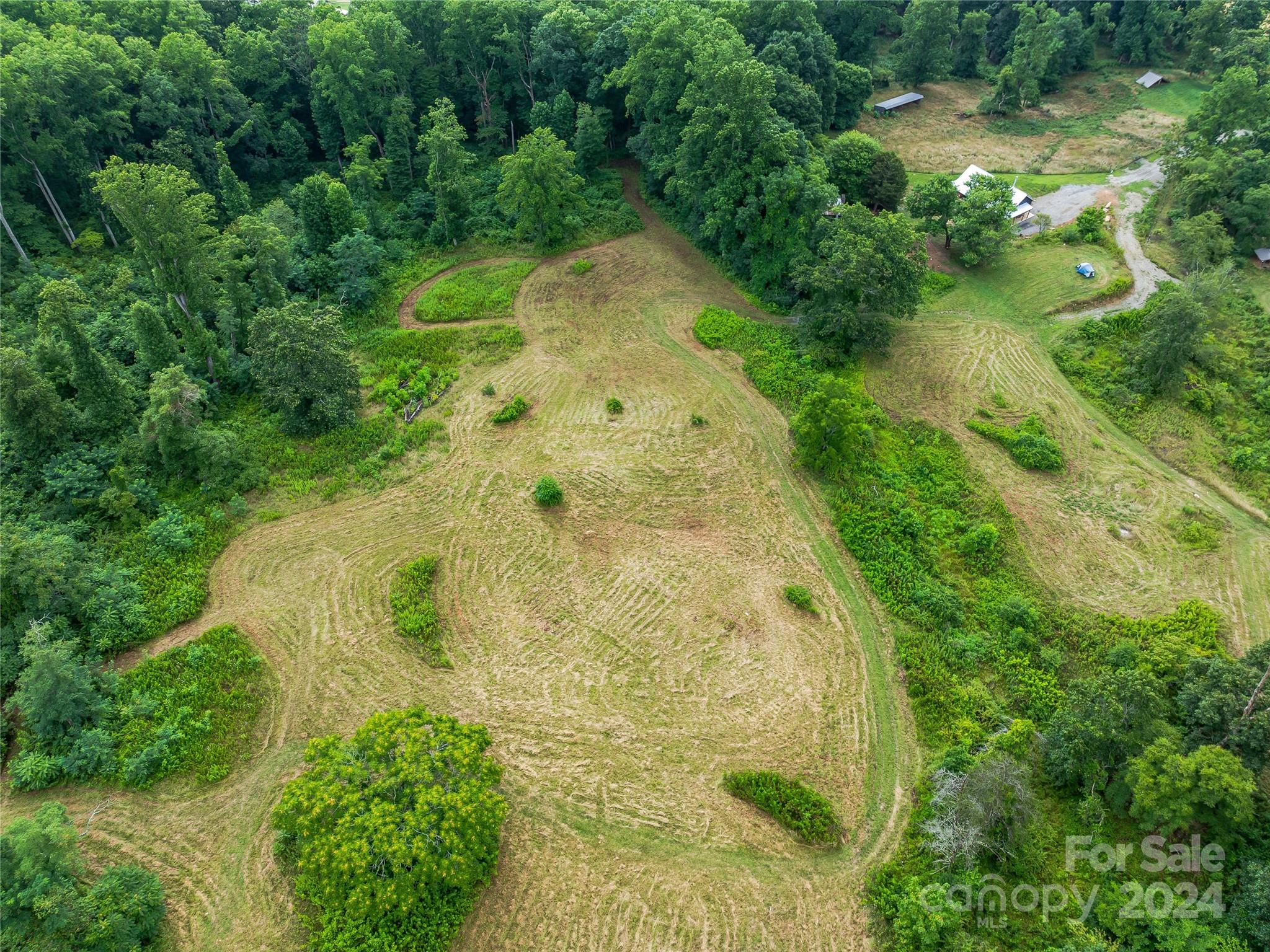 1397 Newfound Road Leicester, NC 28748 - Photo 33 of 48