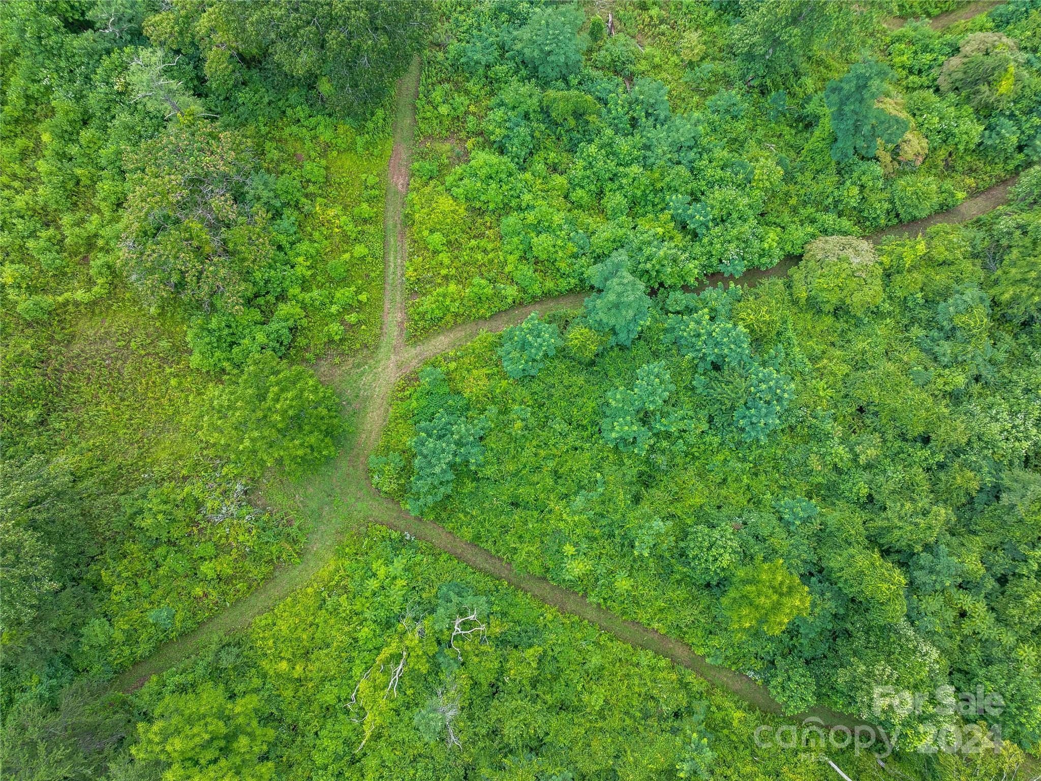 1397 Newfound Road Leicester, NC 28748 - Photo 35 of 48