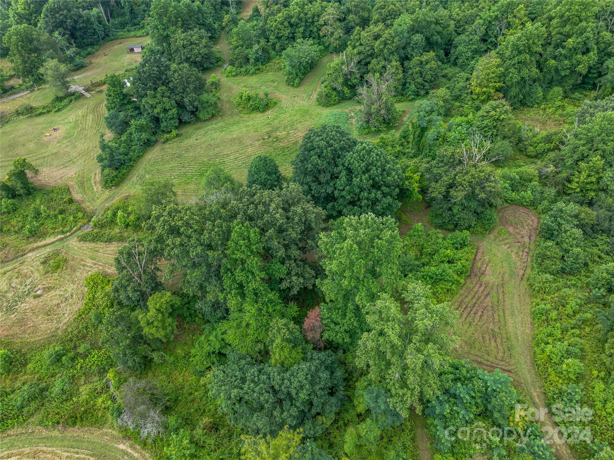 1397 Newfound Road Leicester, NC 28748 - Photo 36 of 48