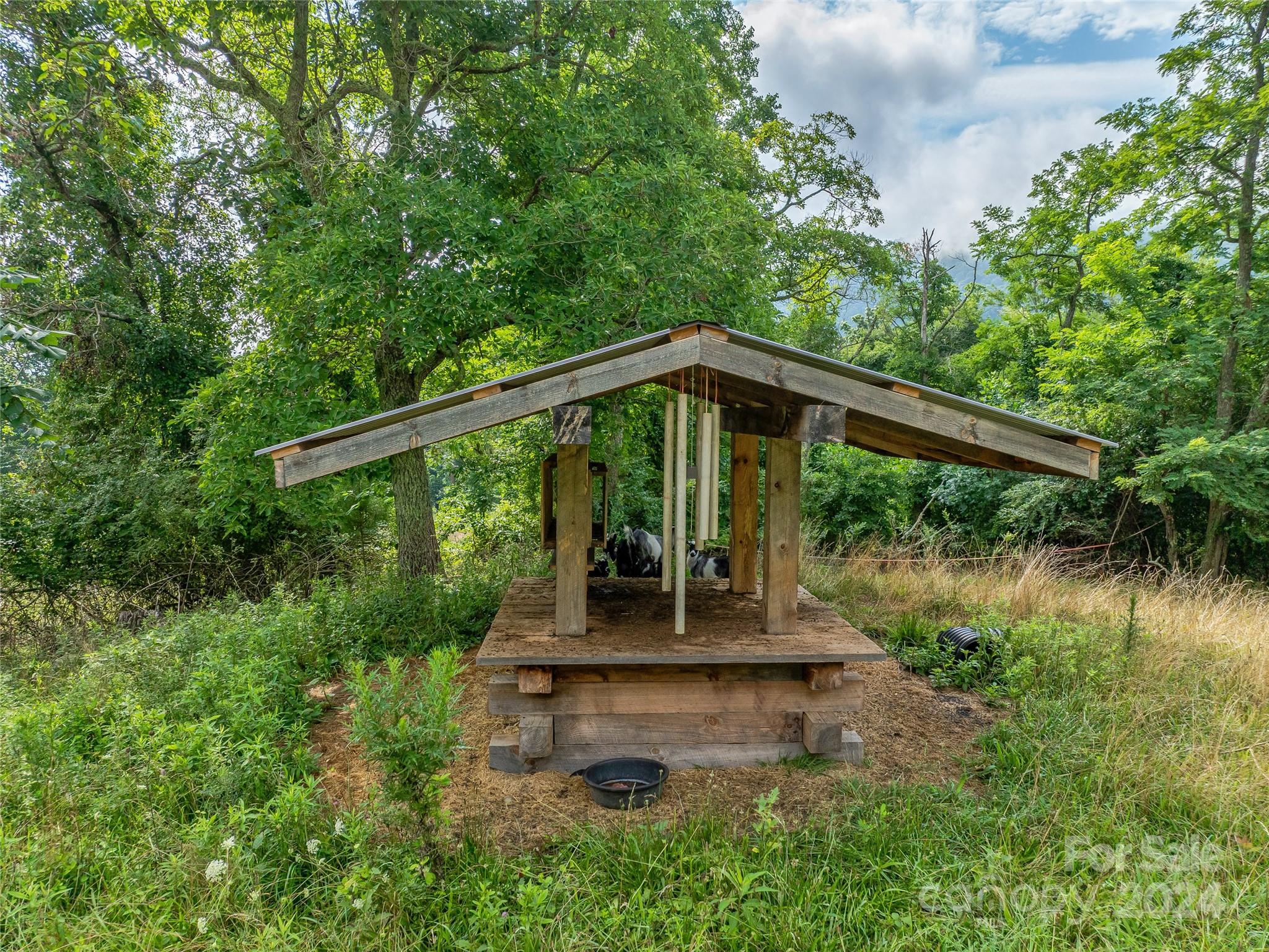 1397 Newfound Road Leicester, NC 28748 - Photo 39 of 48