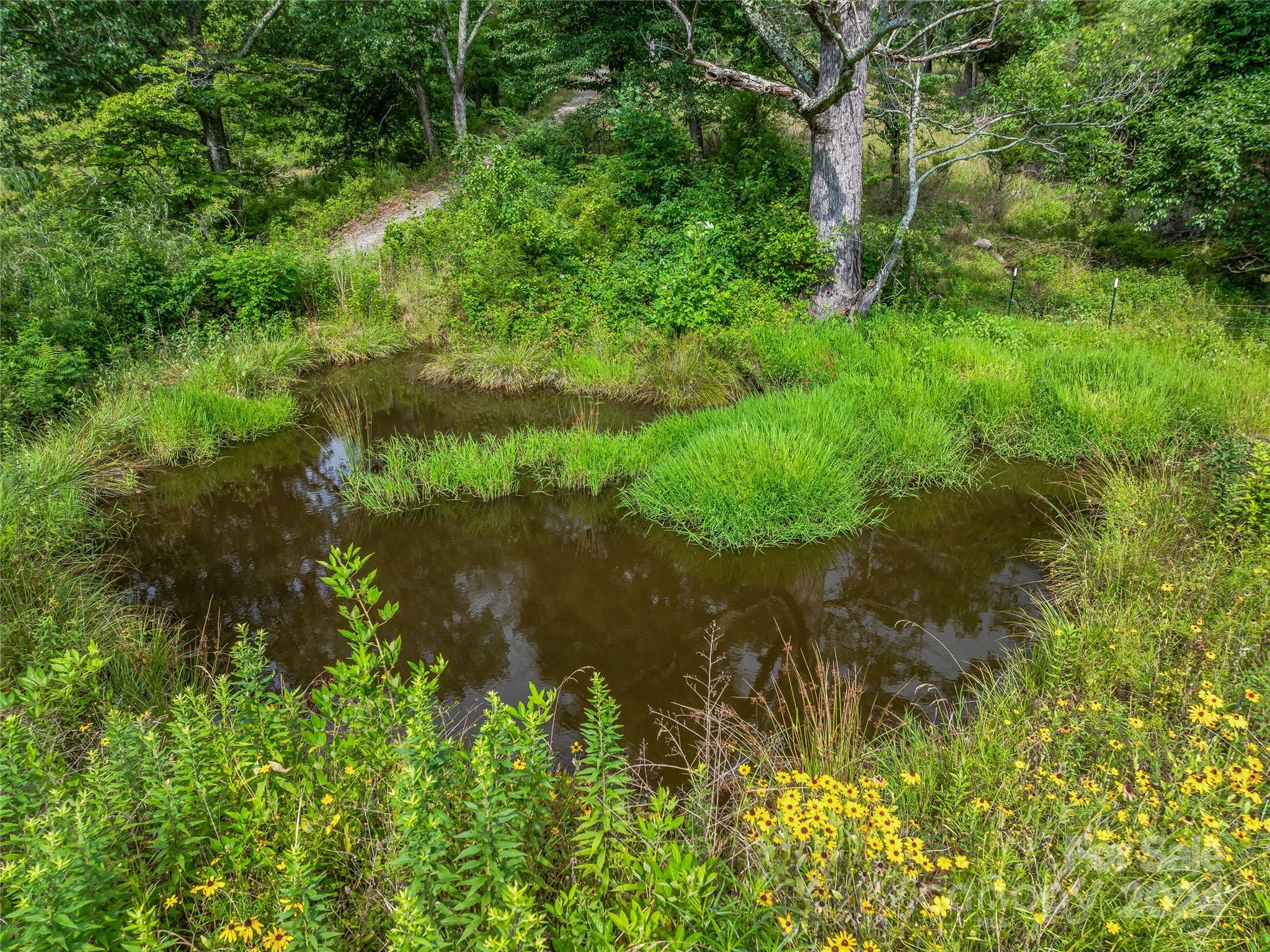 1397 Newfound Road Leicester, NC 28748 - Photo 41 of 48