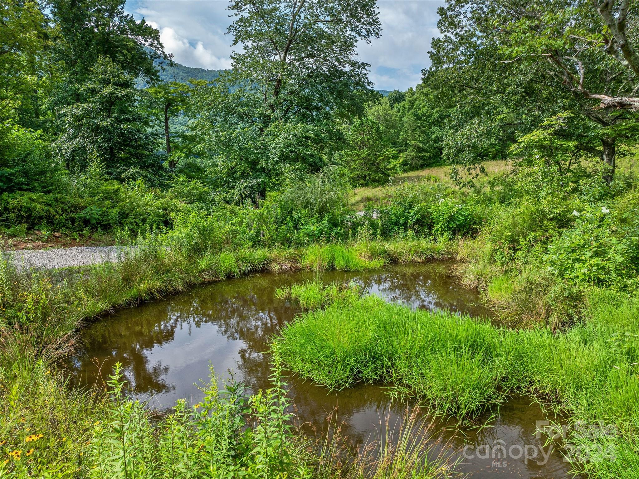 1397 Newfound Road Leicester, NC 28748 - Photo 42 of 48