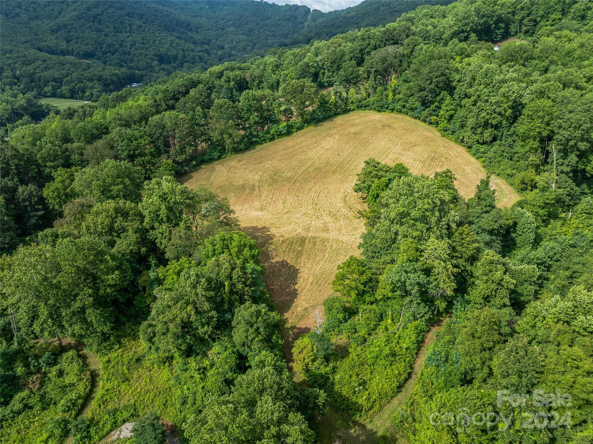 1397 Newfound Road Leicester, NC 28748 - Photo 43 of 48