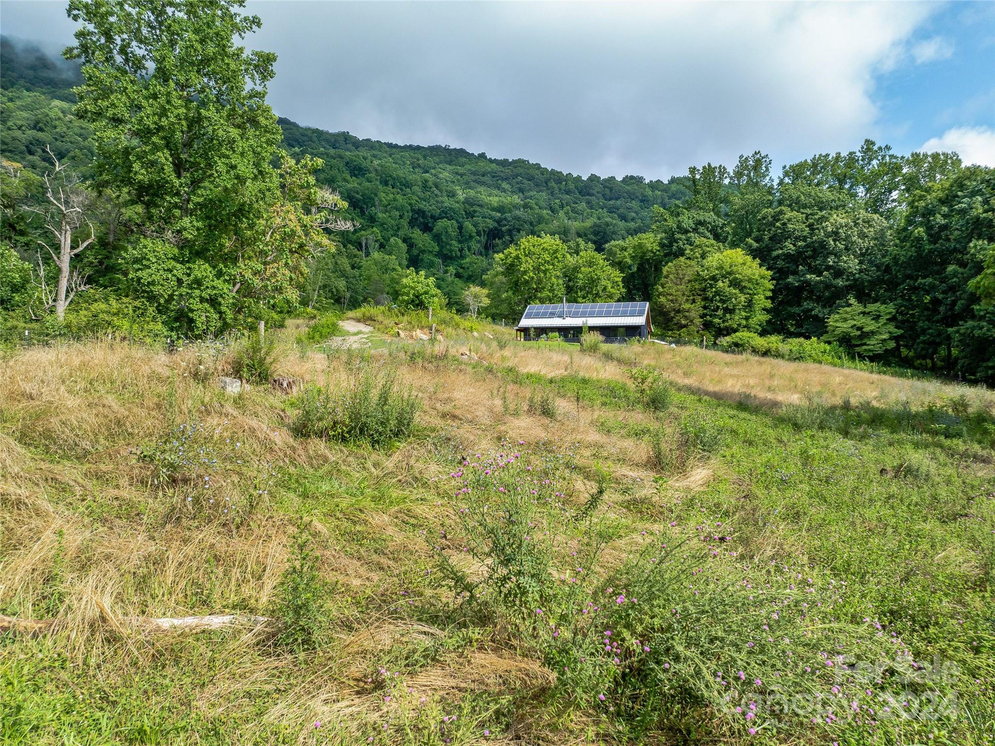 1397 Newfound Road Leicester, NC 28748 - Photo 44 of 48