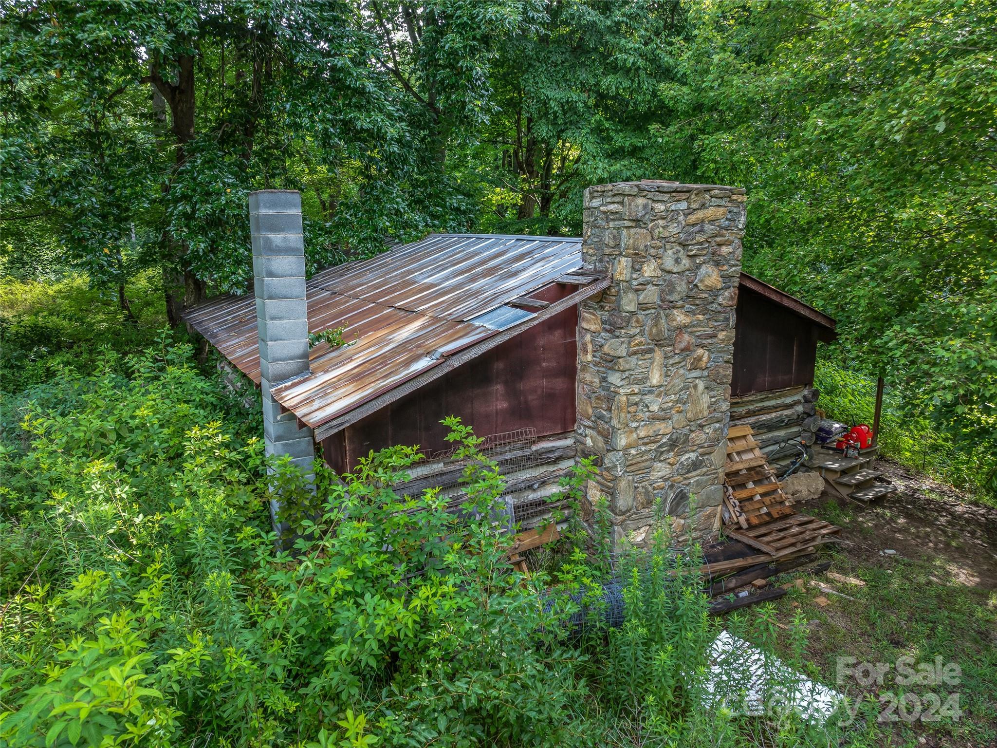 1397 Newfound Road Leicester, NC 28748 - Photo 45 of 48