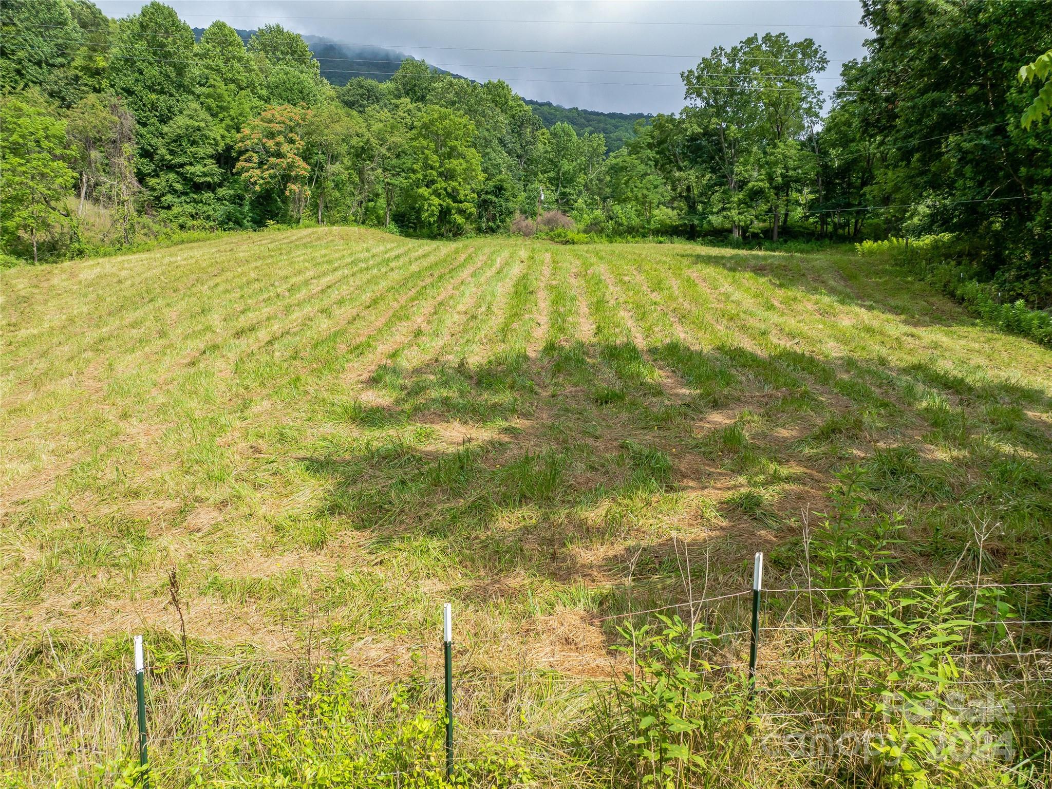 1397 Newfound Road Leicester, NC 28748 - Photo 46 of 48