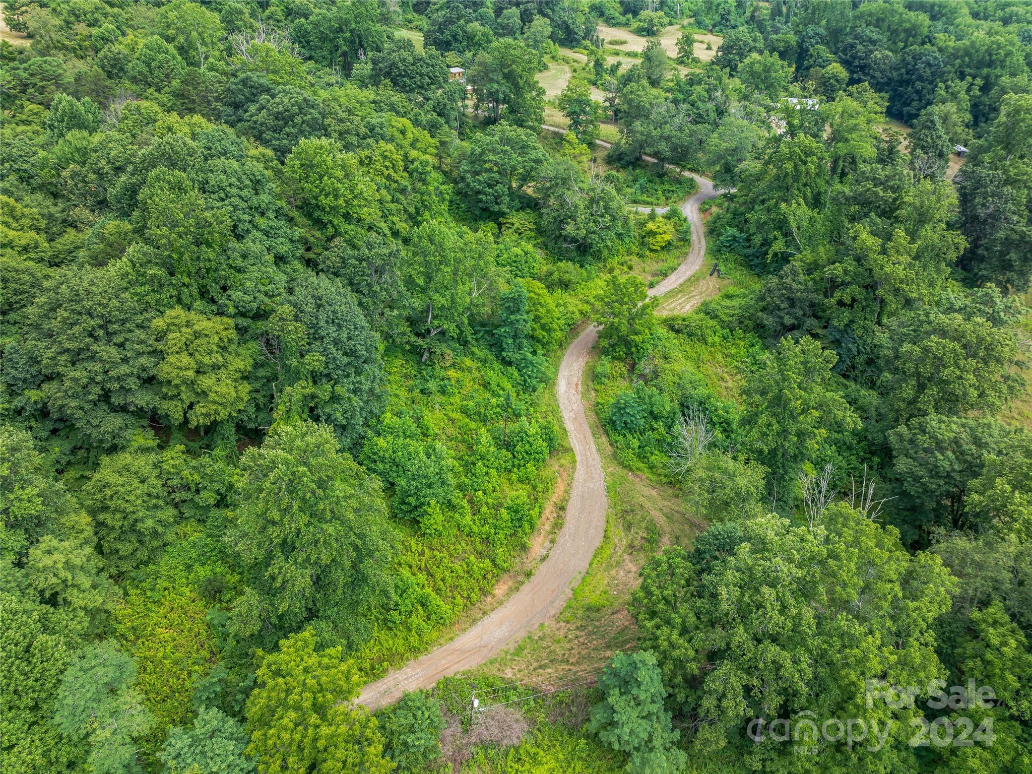 1397 Newfound Road Leicester, NC 28748 - Photo 48 of 48