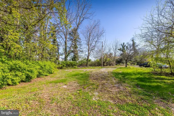 a view of backyard with large trees