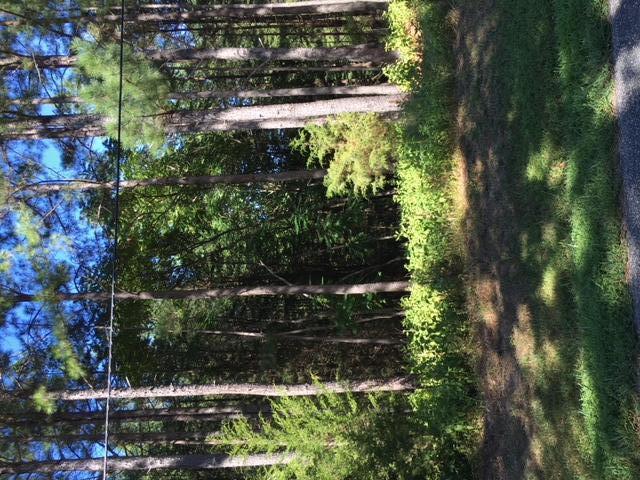 Lot 9 Tranquility Road Moneta, VA 24121 - Photo 1 of 1 Prime waterfront lot