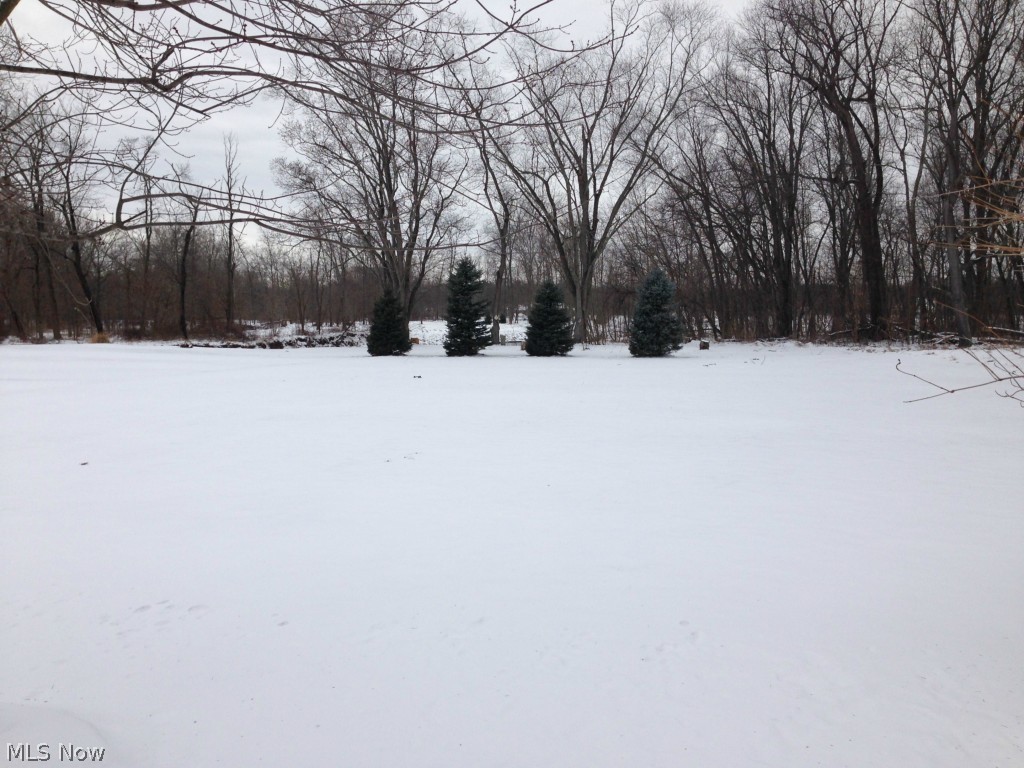 101 Morges Road Malvern, OH 44644 - Photo 3 of 18 Lovely rear lot with private wooded view
