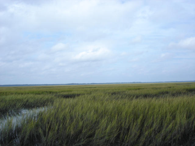 7375 Jenkins Hill Road Edisto Island, SC 29438 - Photo 1 of 11 7375 Jenkins Hill Road 009
